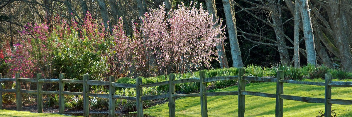 Buck Lake Native Plant Garden