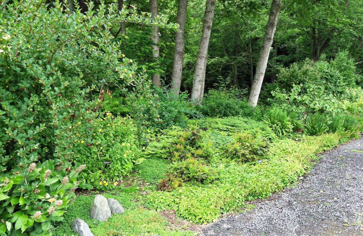 Mature planting at the south entrance Mature planting at the south entrance