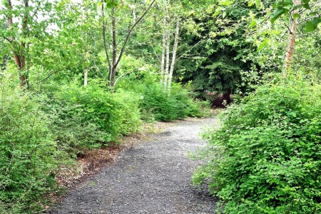 Buck Lake Native Plant Garden