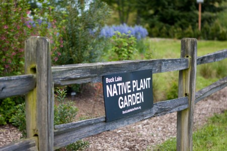 Entry to the garden with Camassia in the background Welcome to Buck Lake Garden.