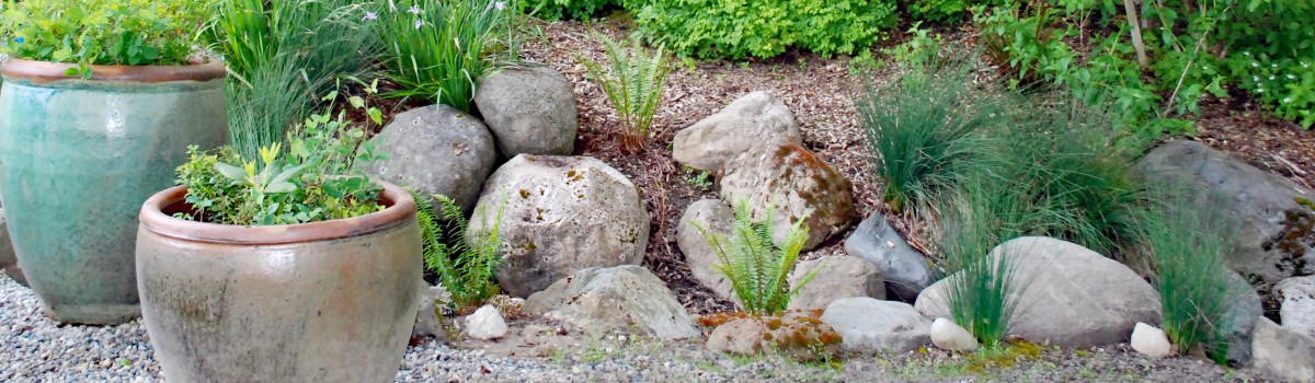Dry or seasonal streambed in the Buck Lake Native Plant Garden Dry or seasonal streambed in the Buck Lake Native Plant Garden